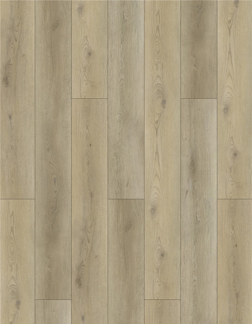 VL88081XL